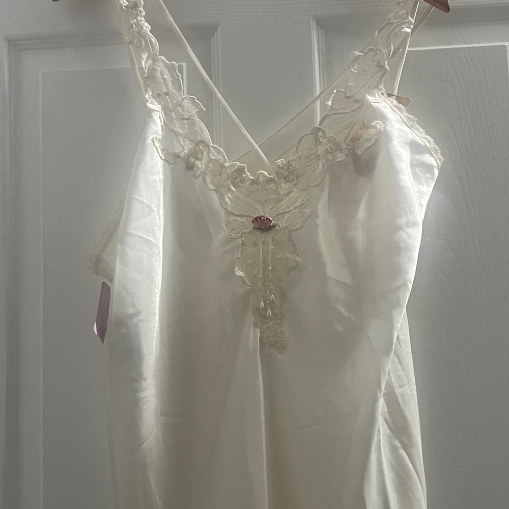 Cream Nightgown with Lace and Pink Rose

456 

P2P 21 inches - Picture 2 of 4